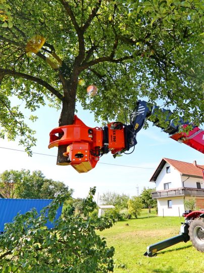 Expert Tree Service